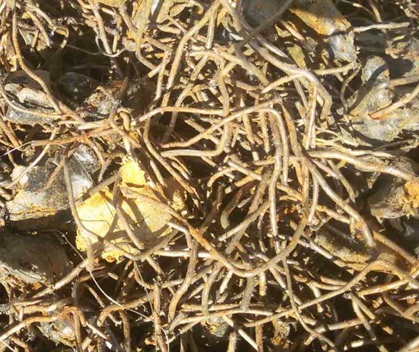 塑料PE與鐵分離